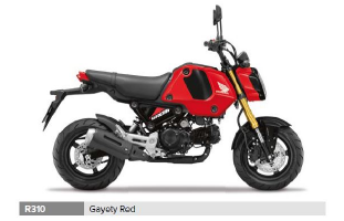 MSX 125 GROM MSX125AP-2023-ED-R310 Ersatzteile